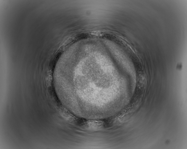 X0000099510707200806121439