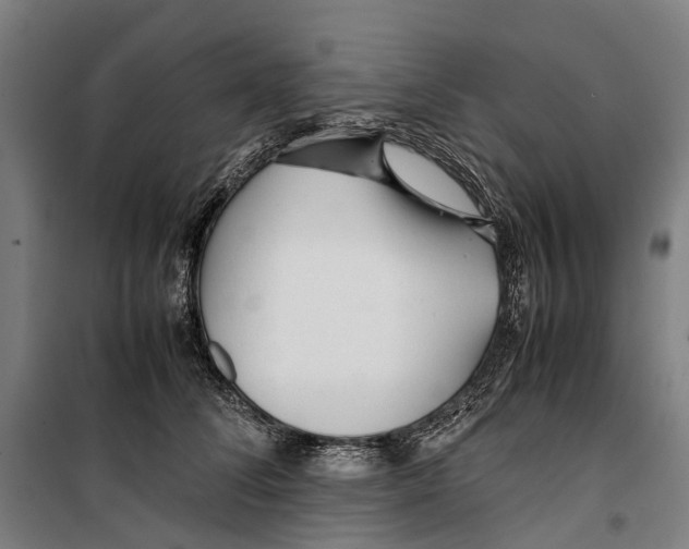 X0000099510708200806121439