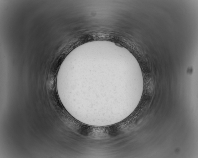 X0000099510709200806121439