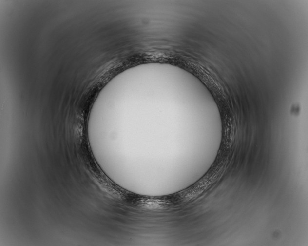 X0000099510710200806121439