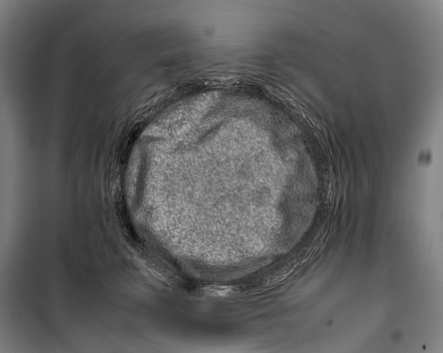 X0000099510711200806121439