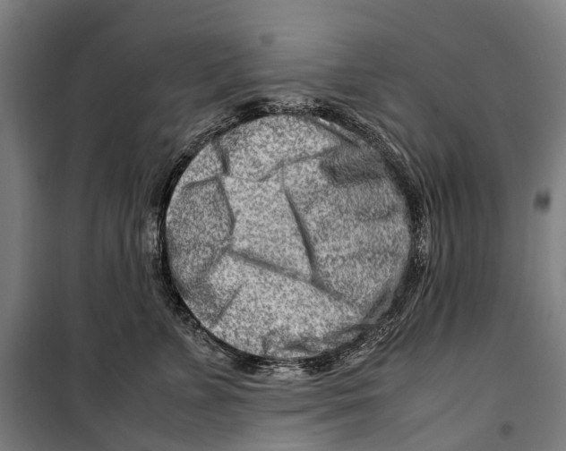 X0000099510715200806121439