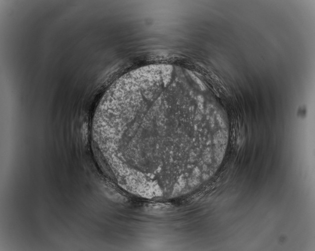 X0000099510716200806121439