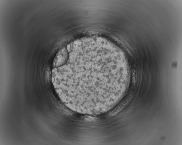 X0000099510718200806121439