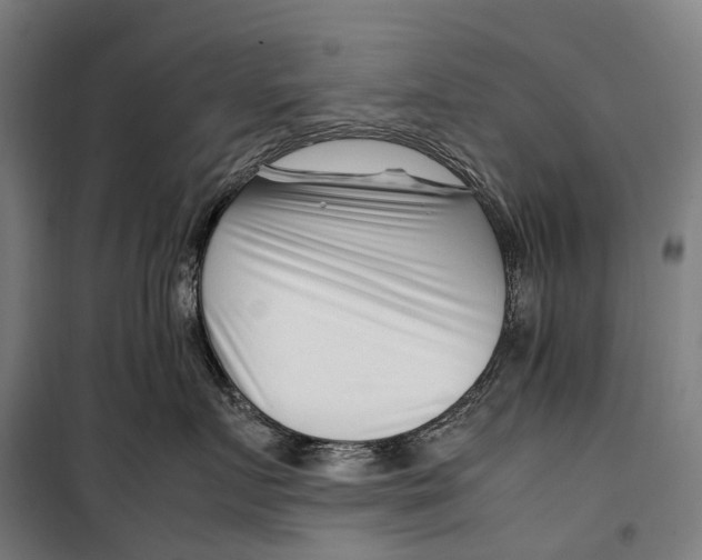 X0000099510719200806121439