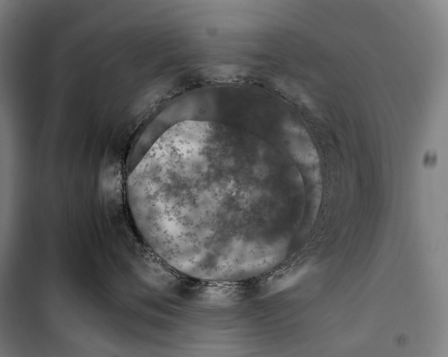 X0000099510720200806121439
