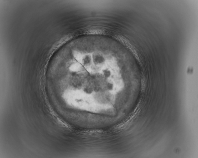 X0000099510721200806121438