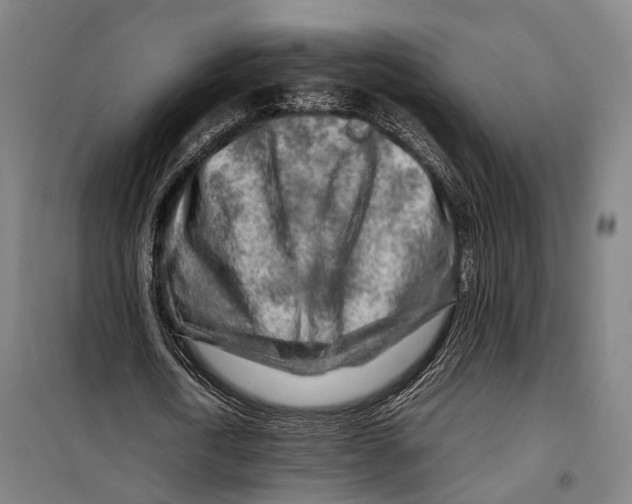 X0000099510722200806121438
