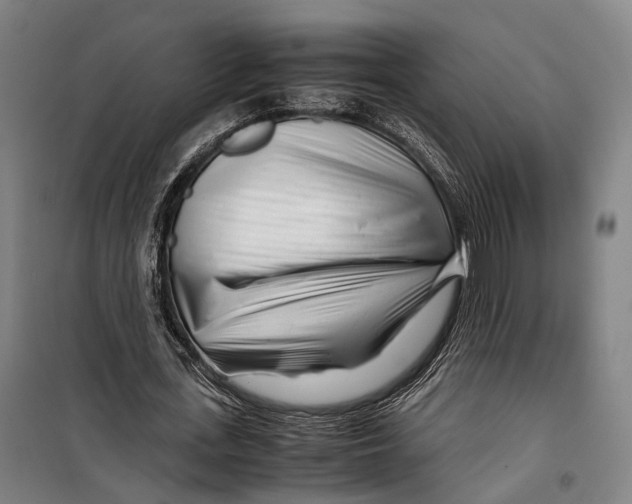 X0000099510723200806121438