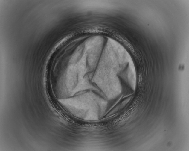 X0000099510724200806121438
