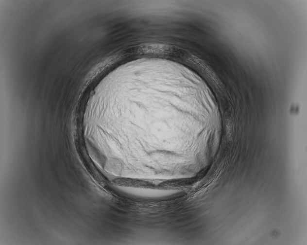 X0000099510725200806121438
