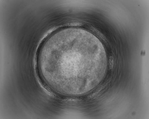 X0000099510726200806121438