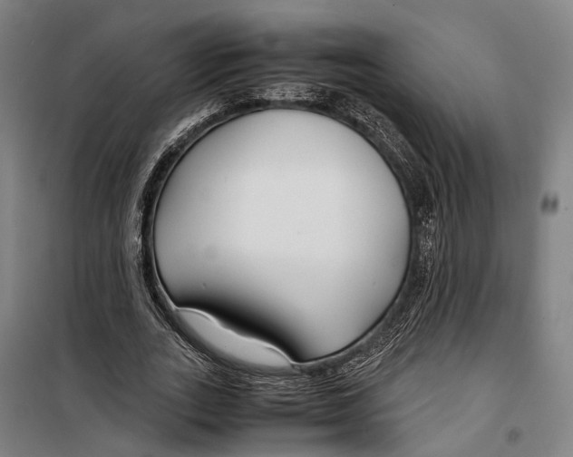 X0000099510727200806121438