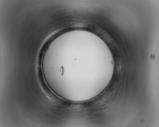 X0000099510728200806121438