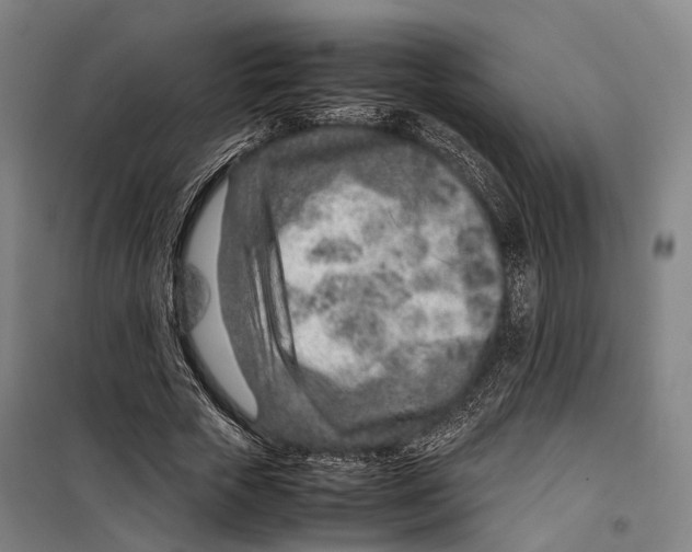 X0000099510729200806121438