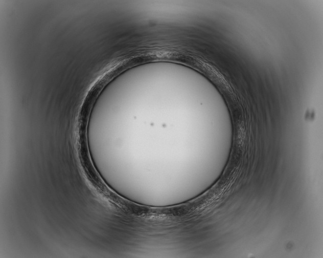 X0000099510730200806121438