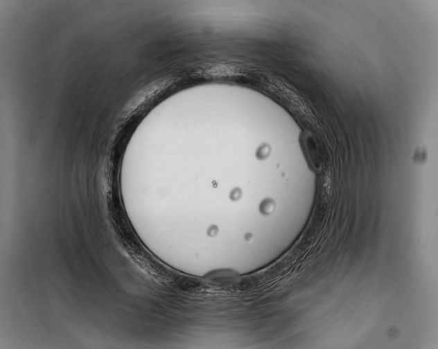 X0000099510732200806121438