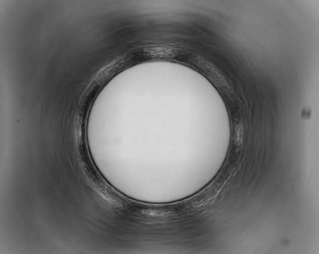 X0000099510733200806121438