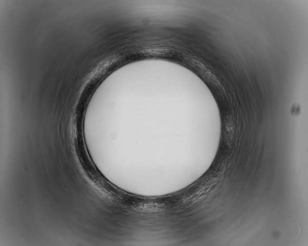 X0000099510734200806121438