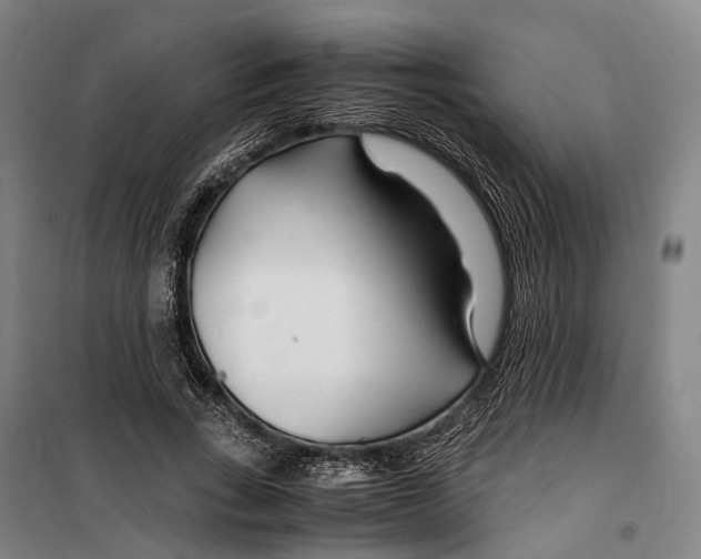 X0000099510735200806121438