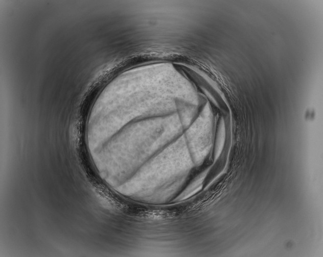 X0000099510736200806121438