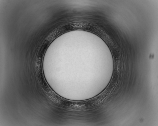 X0000099510737200806121438