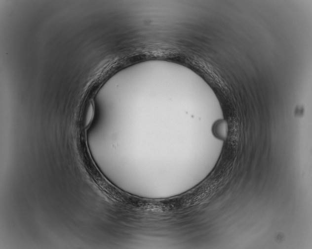 X0000099510738200806121438