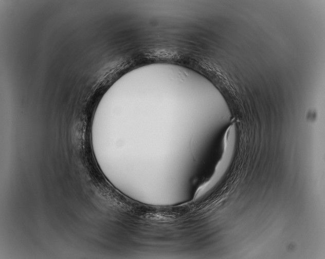 X0000099510739200806121438