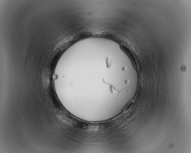 X0000099510740200806121438