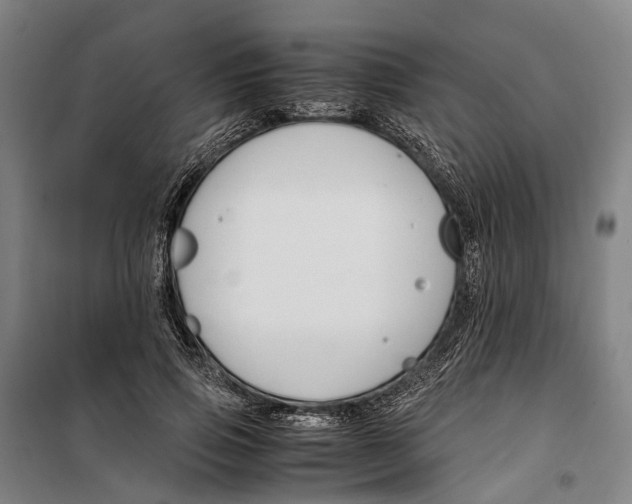 X0000099510741200806121438