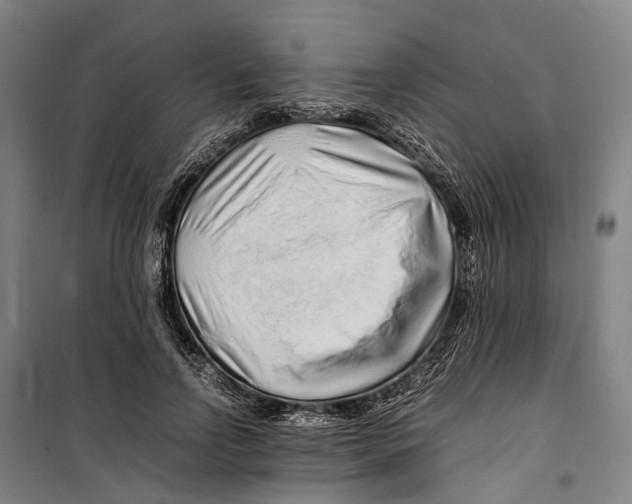 X0000099510742200806121438