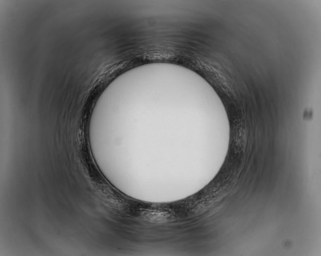 X0000099510743200806121438