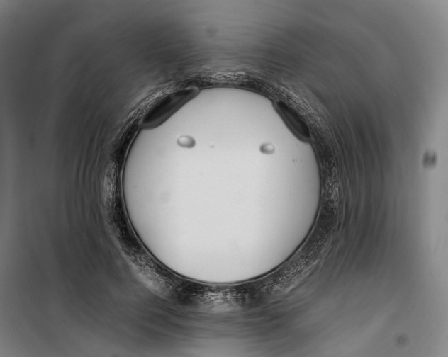 X0000099510744200806121438