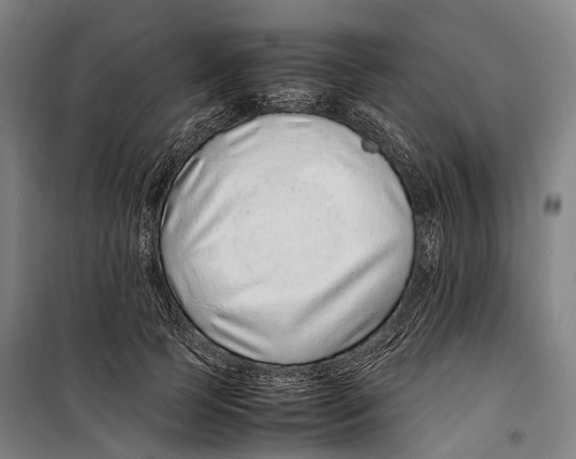 X0000099510745200806121438