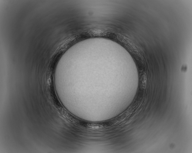 X0000099510746200806121438
