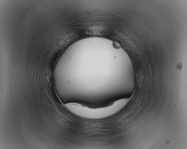 X0000099510747200806121438