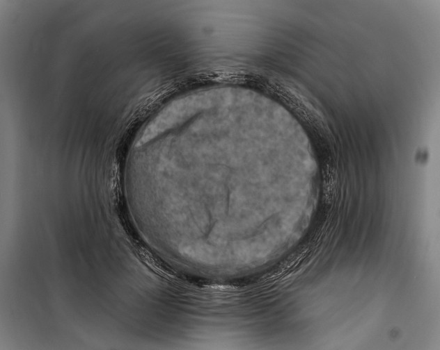 X0000099510748200806121438