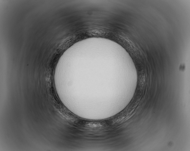 X0000099510749200806121438