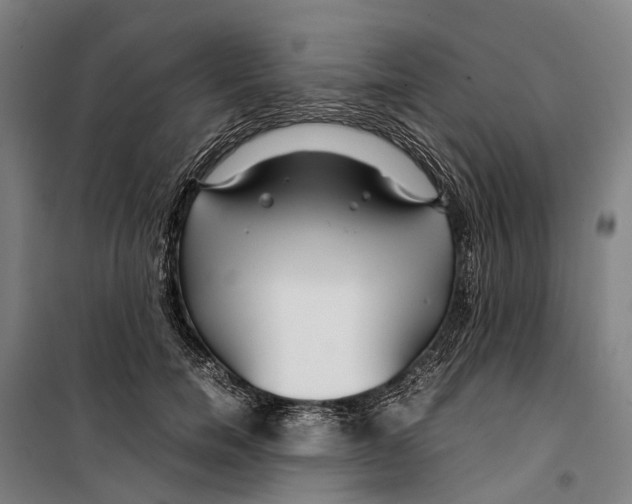 X0000099510750200806121438