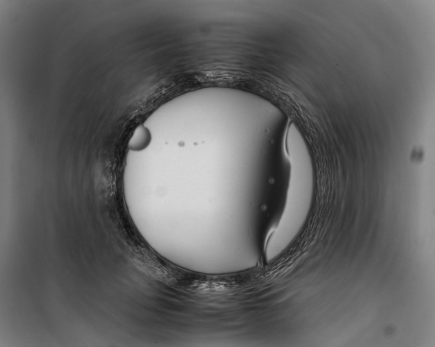 X0000099510751200806121438
