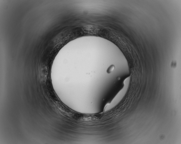 X0000099510752200806121438