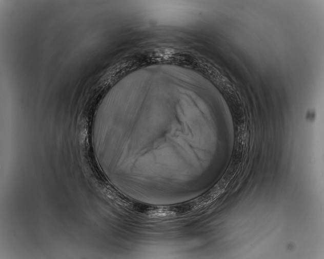 X0000099510754200806121438