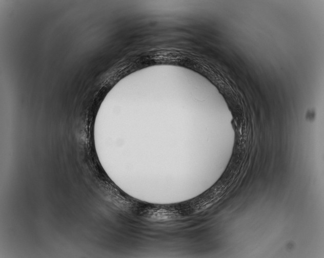 X0000099510755200806121438