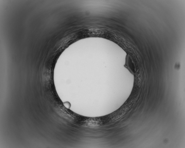 X0000099510756200806121438