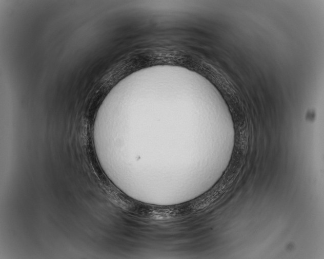 X0000099510757200806121438
