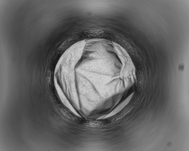 X0000099510758200806121438
