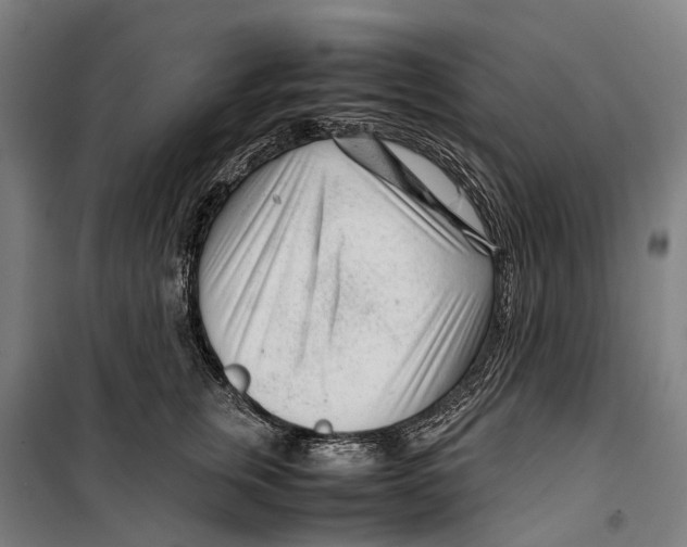 X0000099510759200806121439