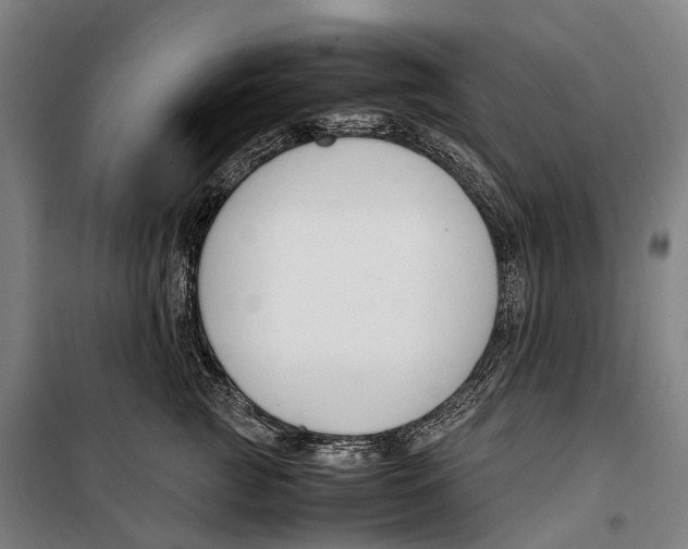 X0000099510761200806121439