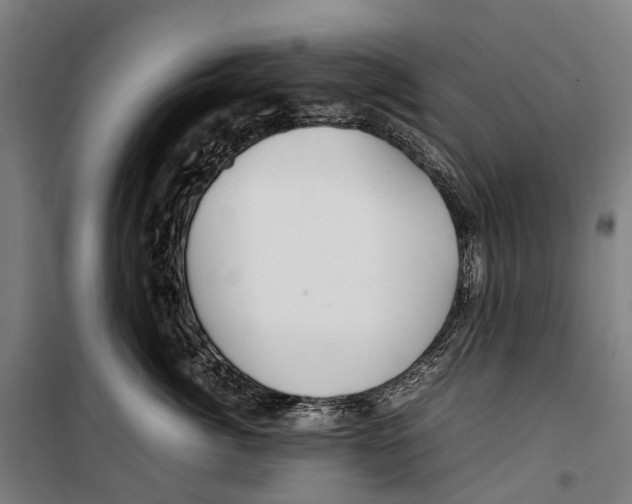 X0000099510764200806121439