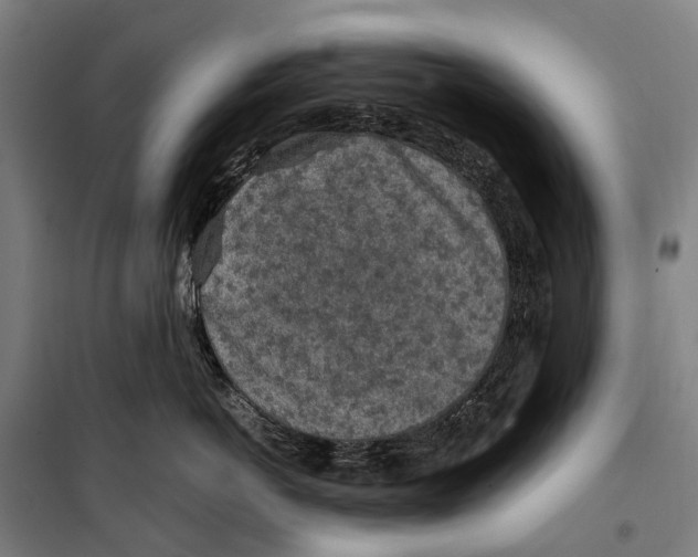 X0000099510766200806121439